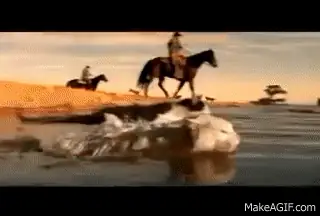 Herding Cats