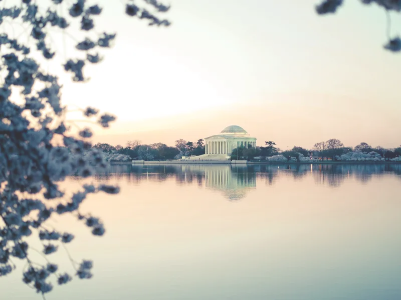 Jefferson Memorial during Cherry Blossom