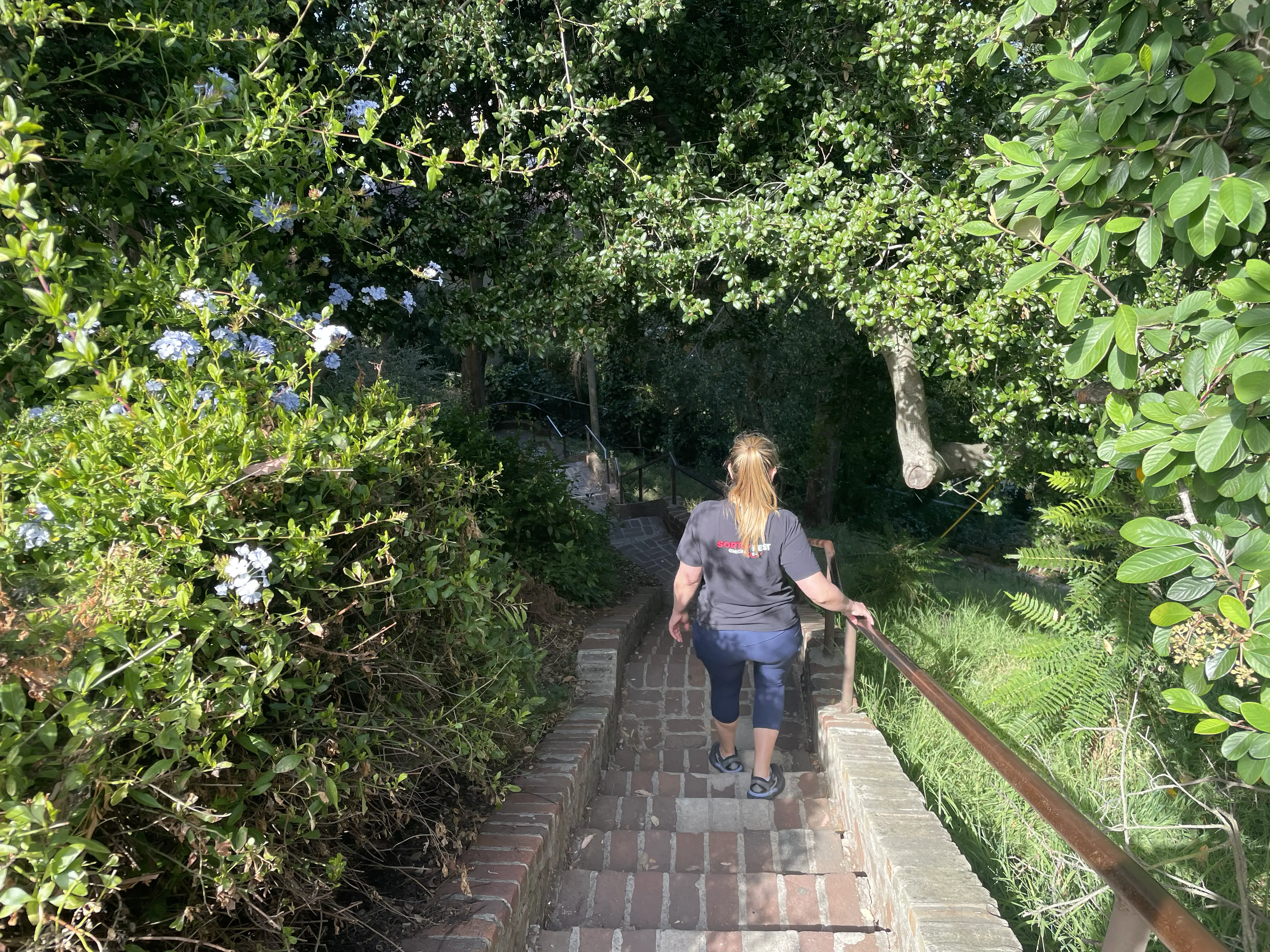 Coit Tower steps