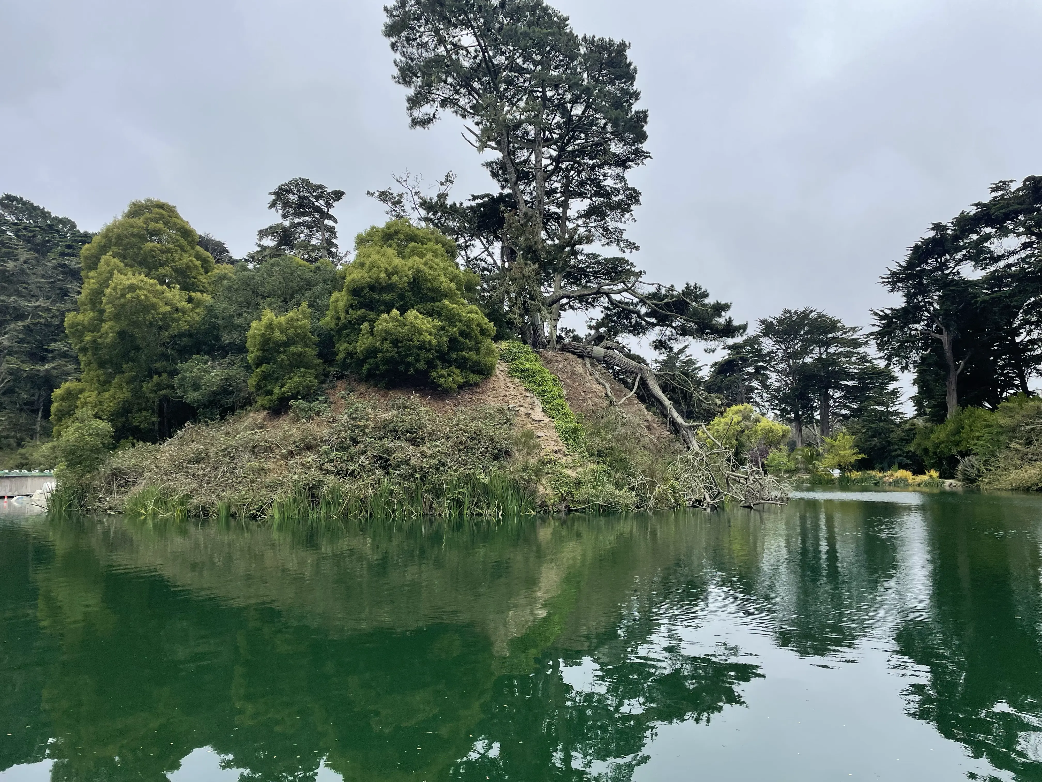 Golden Gate Park